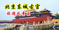 大鸡巴插进无毛逼里的黄色裸体视频中国北京-东城古宫旅游风景区